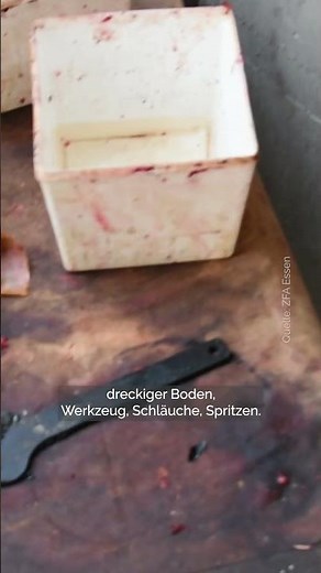 Hier wurde illegaler Shisha-Tabak hergestellt #shorts