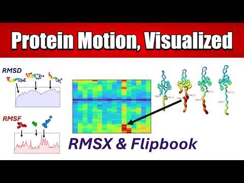 Visualizing Protein Motion in MD: Beyond RMSD & RMSF