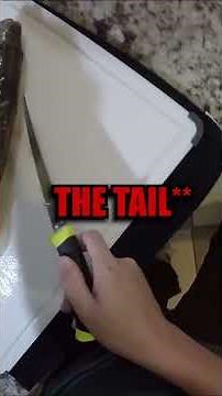 How to Fillet a Walleye