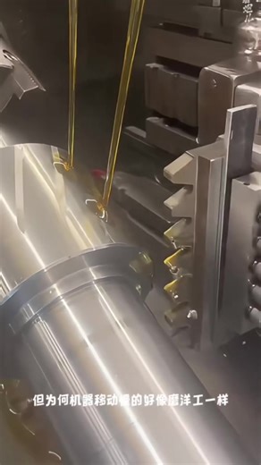 Exploring Interesting Stories and Fun Facts