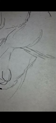 Drawing a warrior cats oc🙀