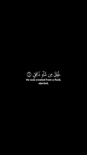 تلاوه من سوره الطارق ياسر الدوسري #yasseraldossary #قران_كريم #شاشه_سوداء #راحة_نفسية