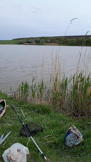 Fishing Tips: How to Catch Carp Effectively