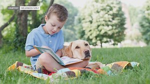 'Pet Pals TV': International Assistance Dog Week