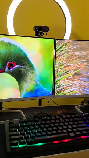 Optimizing PC Performance: Tech Video Tutorial