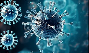 Exploring the world of viruses under a microscope in an informative scientific journey