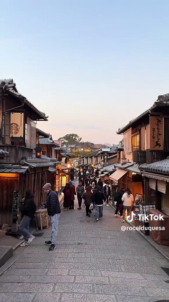 Let’s meet again, Japan 🗻 #fyp #japan2025 #winterinjapan