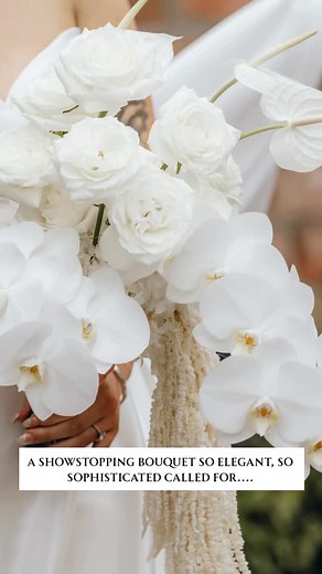 We adored creating this elegant tablescape for our gorgeous bride, McKenzie @_mckenzieadams It was luxury all the way — a refined white-on-creamy-white palette with subtle black accents, brought to life with layered textures: preserved white hydrangea, cascading creamy amaranthus, and luxe white phalaenopsis orchids. And the best part? McKenzie’s bouquet matched the tablescape perfectly, tying the whole theme together in the most beautiful way. Photographer @abihacklingphotography Planner @eliza