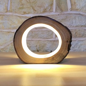 LED log light