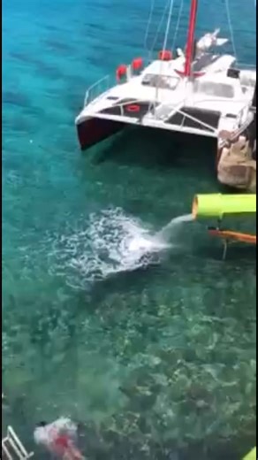 Colin could not get enough of this slide… fearless! | Nick Baker