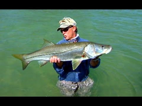 Snook Fishing Tarpon Springs and Bonefish in Biscayne Bay Florida
