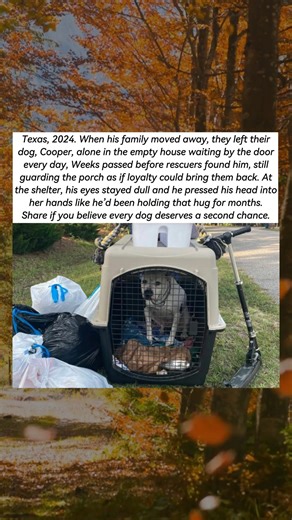 68K views · 2K reactions | Awesome Animals 365 on Reels | Facebook