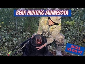 Minnesota Bear Hunting 2023 bear vlog 7 | Killin' TIME!