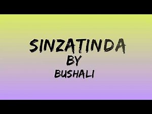 Sinzatinda by bushali (official lyrics)