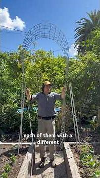 DIY Arch Trellis Tutorial