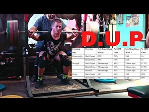 Periodización Ondulatoria Diaria (DUP)