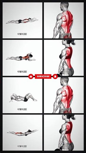 Lying Down Back Exercises for Beginners #fitness #strengthtraining #bodyweightworkout #shorts