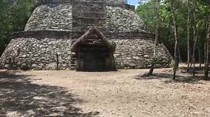 18K views · 193 reactions | Una canción en maya I am SO EXCITED to...