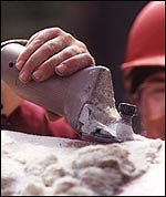 Q&A: Clipping cobs - Horse & Hound