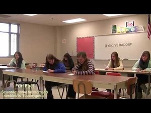 How to Hide Stomach Rumbles