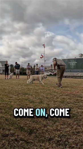 Most training problems start right here