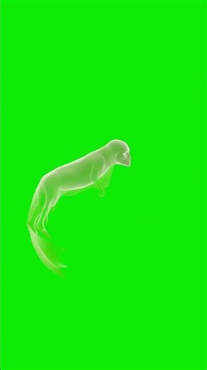 Ghost RUSH Green Screen JUMP SCARE 👻 #freevfx | Viral Spooky Shorts