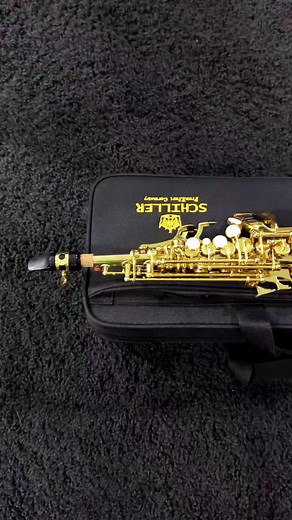 Teeny Saxophone for $570 - Affordable Instrument from Schiller Composer