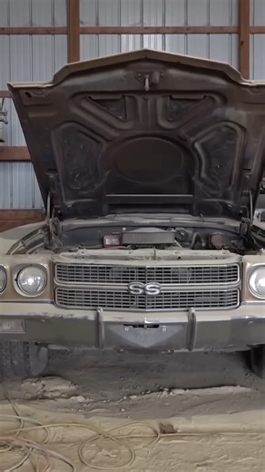 1970 Chevelle SS barn find