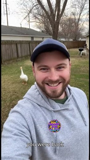 This Goose Ended My Sentence Instantly #funnyanimals #funny #hilariousfails