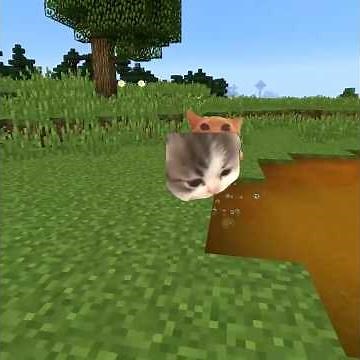 Meme Animals Cats and Dogs part 74 in Minecraft ( shorts version )