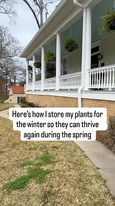 381K views · 7K reactions | Here’s how I store all of my plants for...