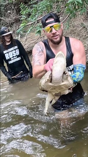 Snapping Turtle almost Snapped off my finger! Noodling for snappers!