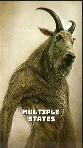 Don't go near this bridge, he might be there watching. #scarystories #terrifyingtales #scary