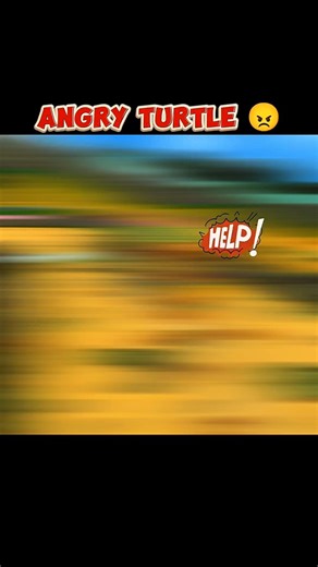 You won't Believe it 😱 Unbelievable Moment 💀 Angry Turtle 🤯