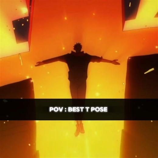 Best t pose 💀