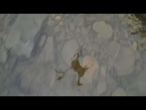 DJI Drone Crash Into River (SURVIVED!)