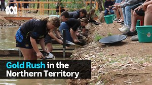 Competitors young and old hit Pine Creek for the gold panning championships🏆 Knee deep in a muddy stream and an age-old pursuit, prospectors have battled it out at the Northern Territory Gold Panning Championships. The annual event was held on Saturday in the Top End town of Pine Creek, about 220 kilometres south of Darwin, attracting about 40 entrants. Gold panning adjudicator John Fisher said there was an undeniable thrill watching entrants — particularly younger competitors new to the gold p