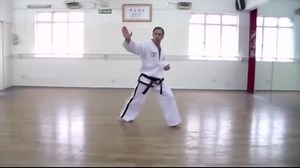 3.6K views · 215 reactions | 24 martial art exercises in the...