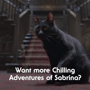 43K views · 1K reactions | Salem has some news that's going to make you say 'Praise Satan!'... | Netflix | Facebook