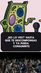 🎤Célula Animal VS Célula Vegetal 💥 🎵Batalla Rap con ciencia. #mundonaat #biologia #biology #ciencia #cienciaparatodos #cienciaparatodos #science #celulas | Mundo Na'At
