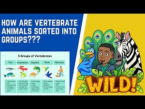 How Are Vertebrate Animals Sorted Into Groups???