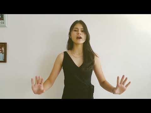 Skyfall cover by Liberty Copper