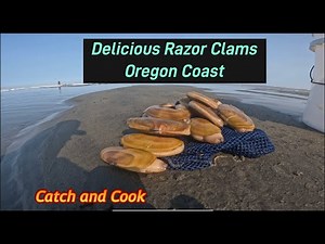 Razor Clam Digging OREGON COAST Catch n Cook