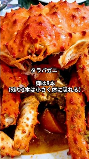 タラバガニとズワイガニ、似てるけど全然ちがう!?#タラバガニVSズワイガニ#実は全然ちがう#進化の不思議#カニの秘密#生き物雑学