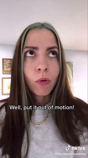 Angry Ferret Business: A Surprising Weasel vs Ferret Showdown