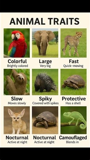 Animal Traits..... Animals Characteristics.... Animals Uniqueness....#animals #learnenglish