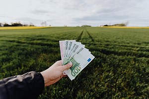 MicroStrategy Inc (MSTR) Elliott Wave technical analysis [Video] | FXStreet