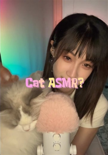 Cat ASMR: Relaxing Mic Scratch Sounds with Ragdoll Cat