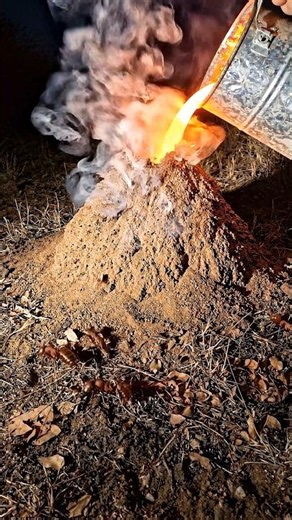Pouring Molten Aluminum Into an Ant Hill! 🐜 (Stunning Art Reveal) #diy #AntHillCast