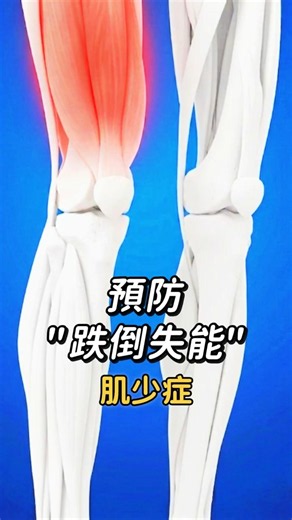 曬太陽就能防失能？光吃蛋白質還不夠！預防肌少症的核心關鍵